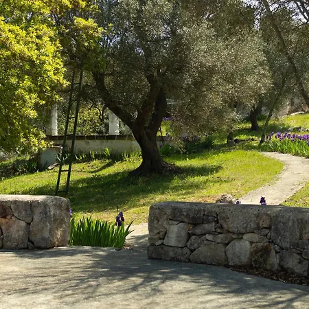 Villa Accademia Degli Inquieti - Casina Gargiulo *