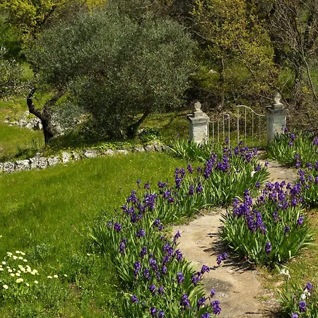 Villa Accademia Degli Inquieti - Casina Gargiulo